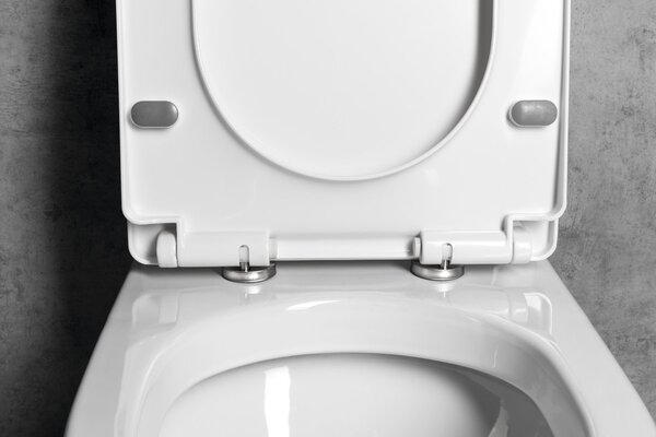 Aqualine Aqualine, VERMET WC sedátko, Soft Close, bílá, VRS008