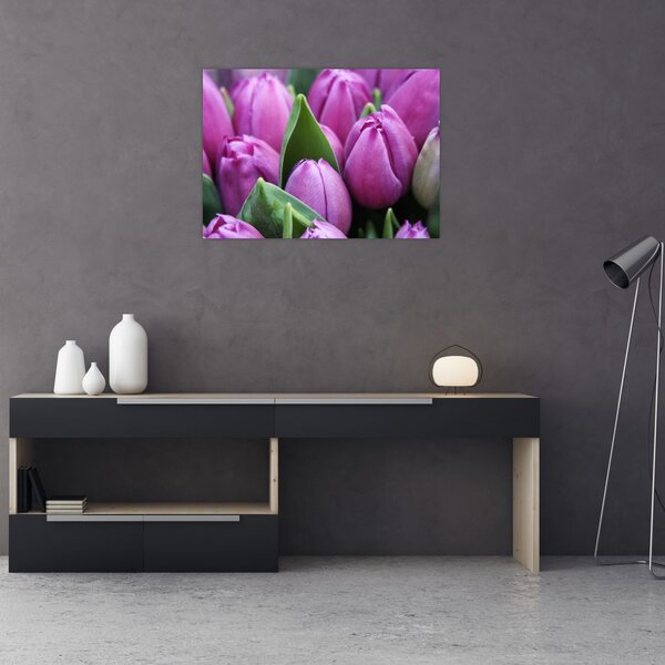 Obraz - květy tulipánů (70x50 cm)