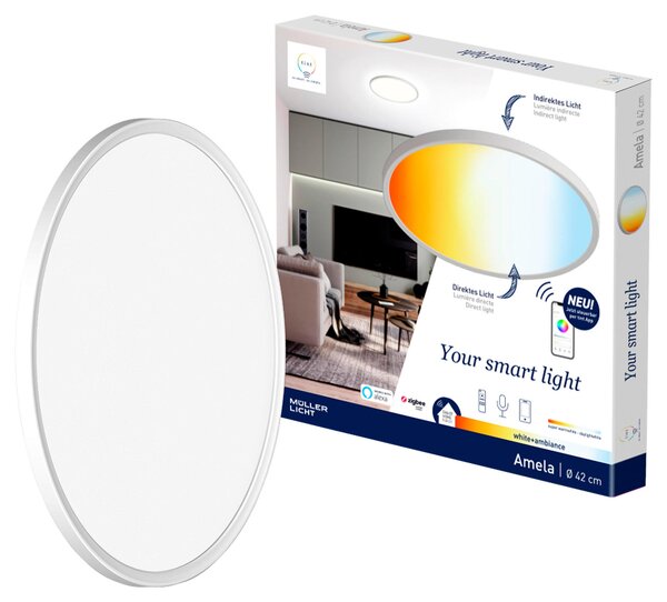 STROPNÍ SVÍTIDLO, 30/2,9/30 cm Tint - Online Only svítidla, Online Only