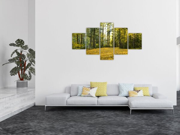 Obraz - les na podzim (125x70 cm)