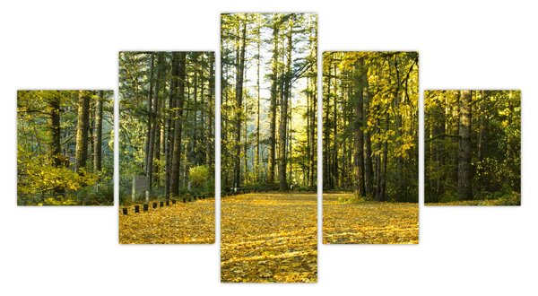 Obraz - les na podzim (125x70 cm)