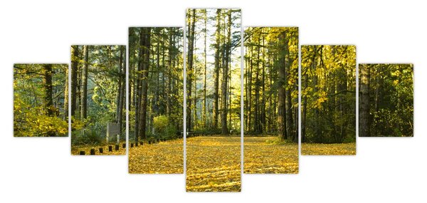 Obraz - les na podzim (210x100 cm)