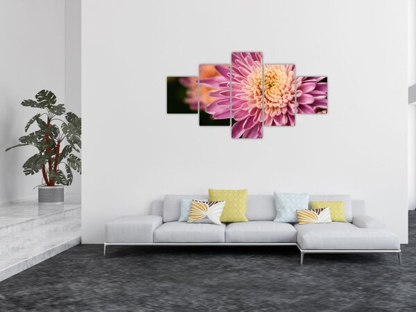 Detailní obraz květu (125x70 cm)