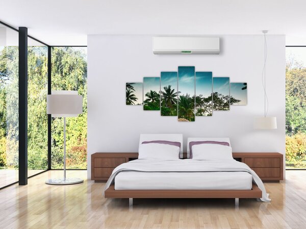 Obraz - palmy (210x100 cm)
