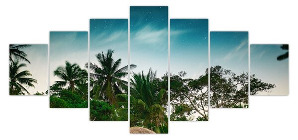 Obraz - palmy (210x100 cm)