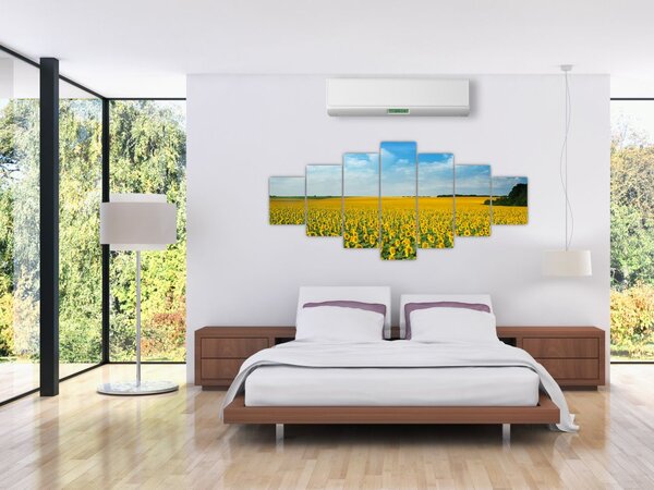 Obraz - lán slunečnic (210x100 cm)