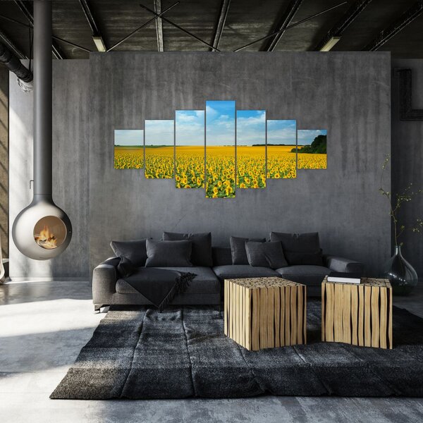 Obraz - lán slunečnic (210x100 cm)