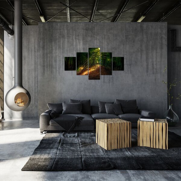 Obraz lesní cesty (125x70 cm)