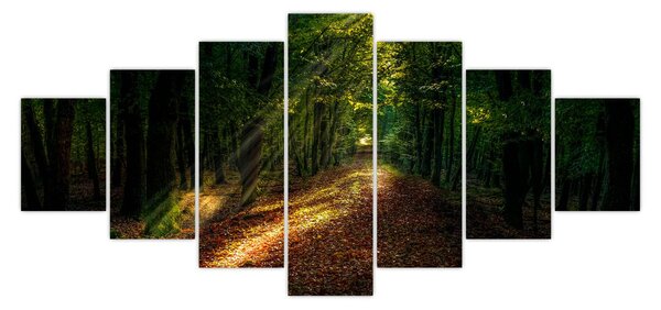 Obraz lesní cesty (210x100 cm)