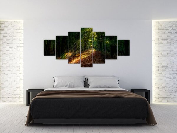 Obraz lesní cesty (210x100 cm)