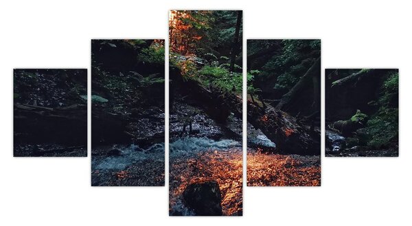 Obraz horské říčky (125x70 cm)