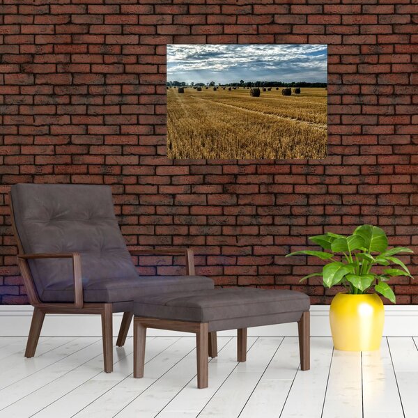 Obraz sklizeného obilného pole (70x50 cm)
