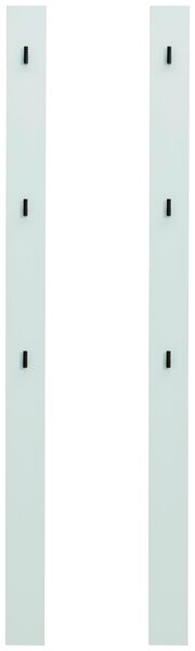 ŠATNÍ PANEL, šalvějově zelená, 10/163/1,6 cm Hom`in - Šatní panely, Online Only