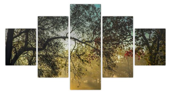 Obraz východu slunce (125x70 cm)
