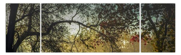 Obraz východu slunce (170x50 cm)