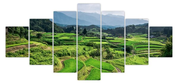 Obraz rýžových polí (210x100 cm)