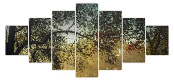 Obraz východu slunce (210x100 cm)