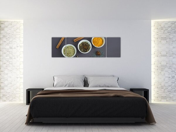 Obraz - koření (170x50 cm)