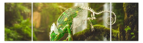Obraz ještěrky (170x50 cm)