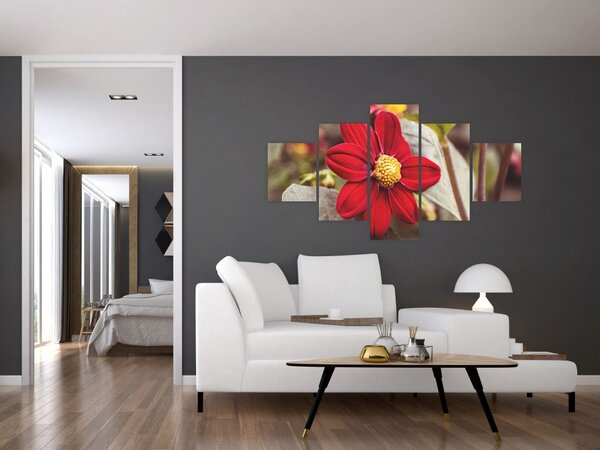Obraz květiny (125x70 cm)
