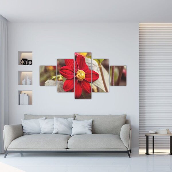 Obraz květiny (125x70 cm)