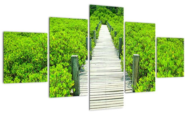 Obraz - dřevěný chodník (125x70 cm)