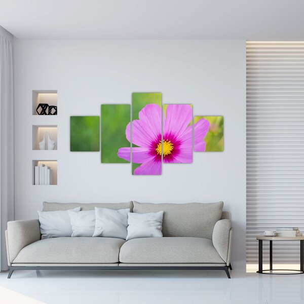 Obraz - luční květina (125x70 cm)