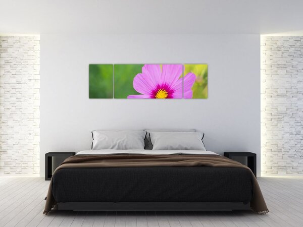 Obraz - luční květina (170x50 cm)