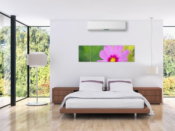 Obraz - luční květina (170x50 cm)