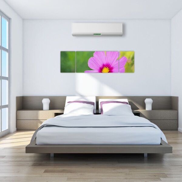 Obraz - luční květina (170x50 cm)