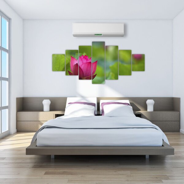 Obraz - vodní rostlina (210x100 cm)