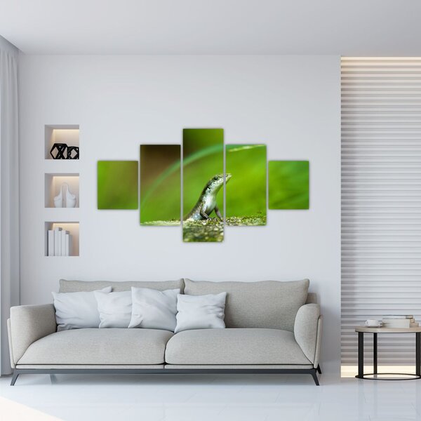 Obraz ještěrky (125x70 cm)