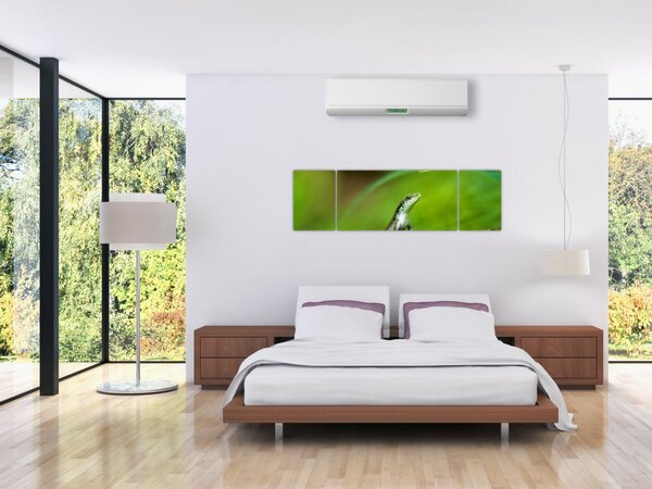 Obraz ještěrky (170x50 cm)