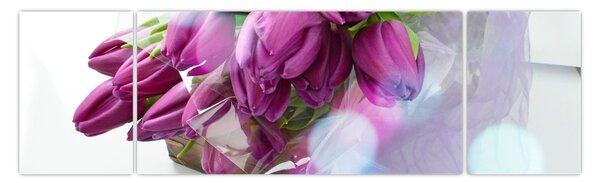 Obraz - kytice tulipánů (170x50 cm)