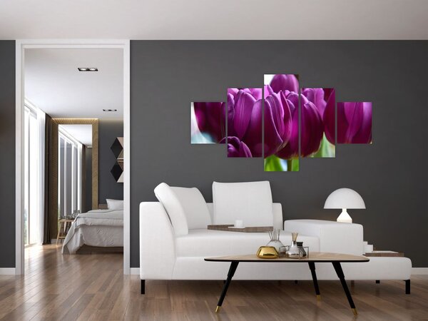 Obraz tulipánů (125x70 cm)
