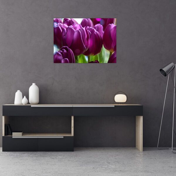 Obraz tulipánů (70x50 cm)