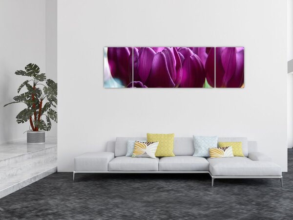 Obraz tulipánů (170x50 cm)