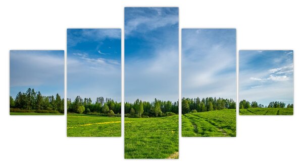 Obraz louky (125x70 cm)