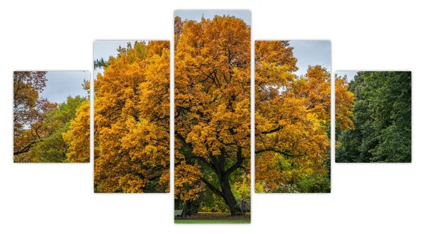 Obraz stromu (125x70 cm)