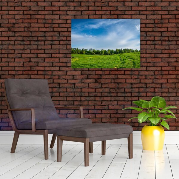 Obraz louky (70x50 cm)