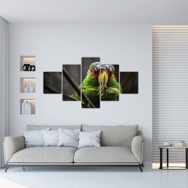 Obraz papouška (125x70 cm)