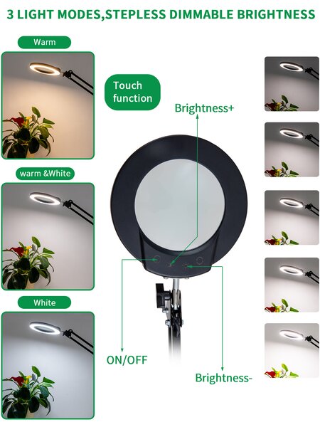 LED stmívatelná stolní lampička s lupou IMMAX ZOOM 12W/5V černá