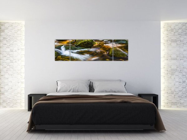 Obraz potůčku (170x50 cm)