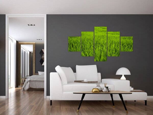 Obraz trávy (125x70 cm)