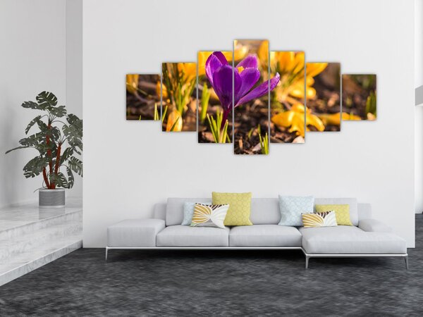 Obraz fialové květiny (210x100 cm)