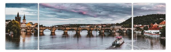 Obraz Vltavy (170x50 cm)