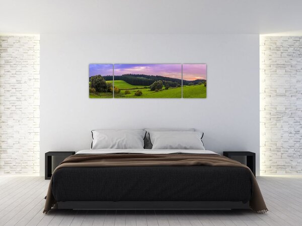 Obraz louky (170x50 cm)