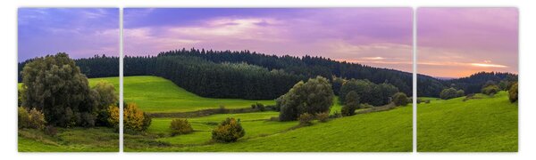 Obraz louky (170x50 cm)