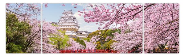 Obraz japonské třešně (170x50 cm)