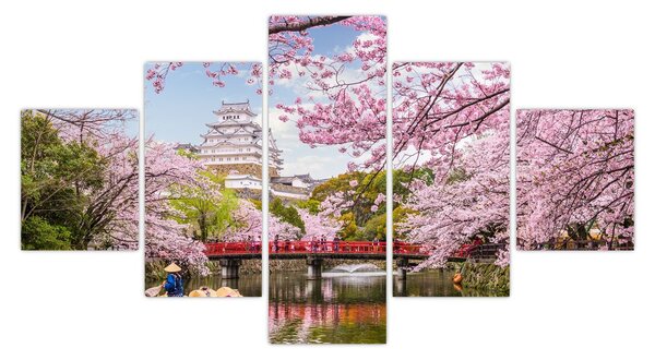 Obraz japonské třešně (125x70 cm)